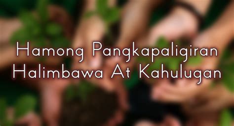 Hamong Pangkapaligiran Halimbawa At Kahulugan.